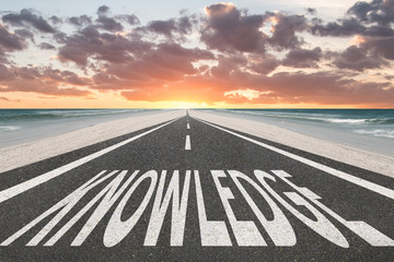 沉木放在鱼缸里水发黄怎么办