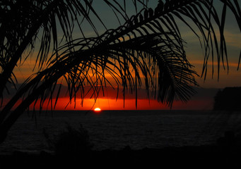 沉木放在鱼缸里水发黄怎么办