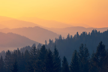 公积金缴纳基数和工资有关系吗