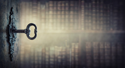 沉木放在鱼缸里水发黄怎么办