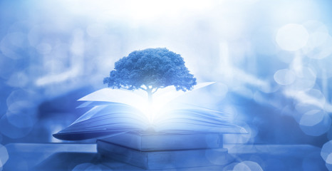 公积金缴纳基数和工资有关系吗