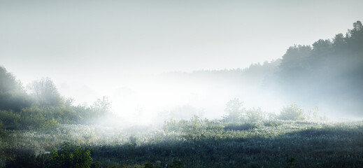 楚留香平民选择哪个职业好？