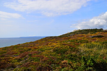 沉木放在鱼缸里水发黄怎么办