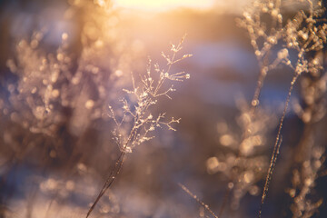 汽车修理工安全操作规程与流程