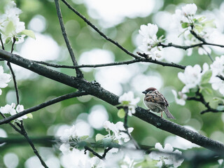 沉木放在鱼缸里水发黄怎么办