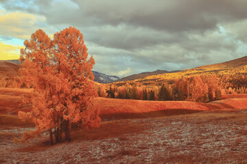 婚礼通知朋友圈怎么写