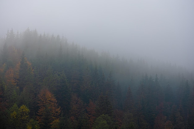 年满70的老人可以办理深圳居住证吗