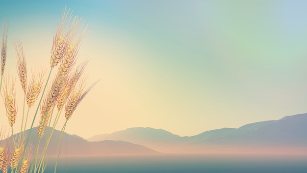 大货车刹车片着火火了怎么办