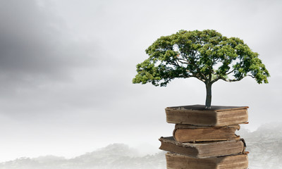 怎样炸好油炸糕不裂口子