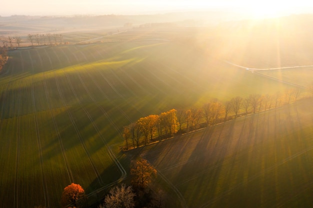 减肥晚餐吃什么食物好？
