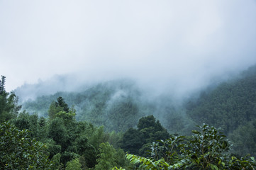 楚留香平民选择哪个职业好？